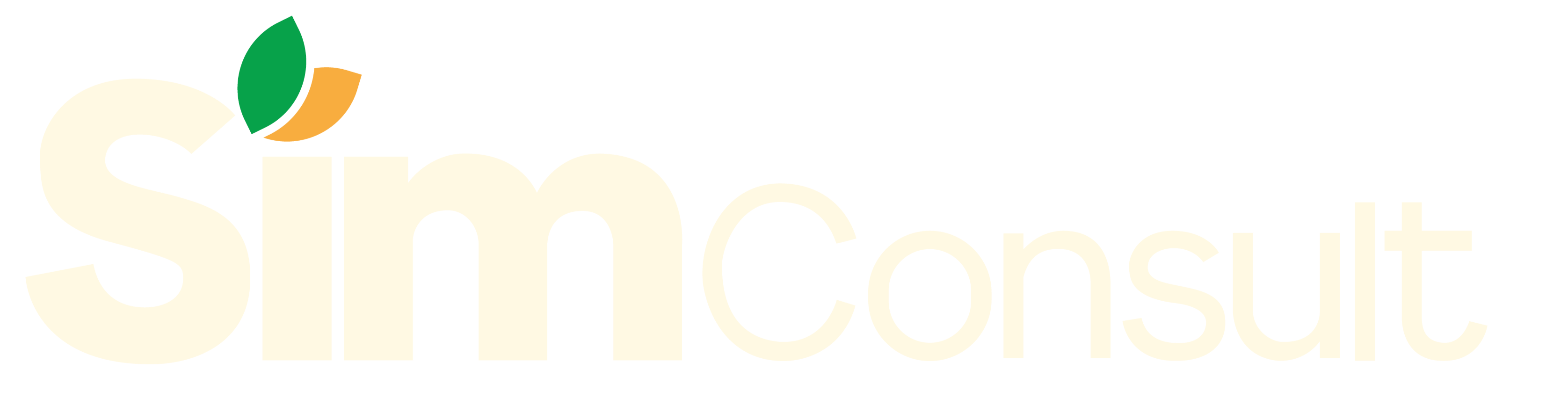 Logo Sim Consult